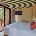 Bonjour Sauvage