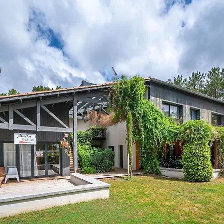 Bonjour Sauvage Seignosse Seignosse