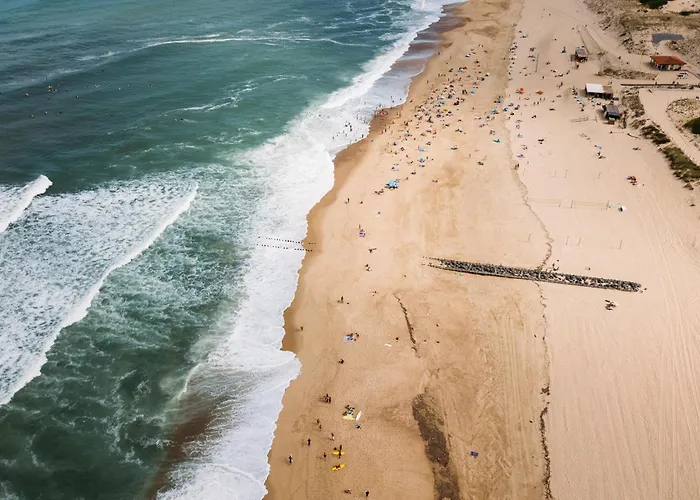 Bonjour Sauvage אתר קמפינג סניוס