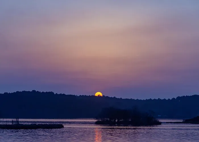 Bonjour Sauvage סניוס