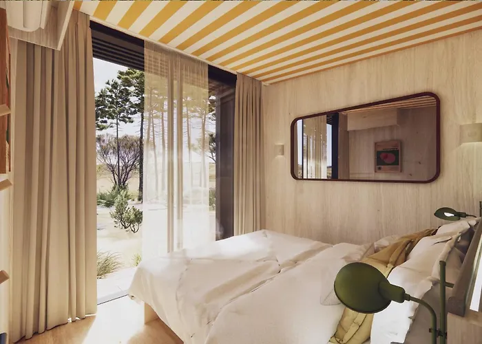 Bonjour Sauvage סניוס