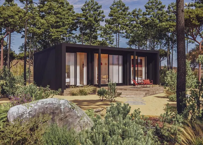 Bonjour Sauvage סניוס